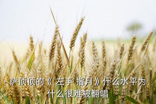 左手指月扇子表演舞蹈