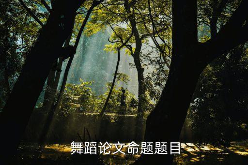 论舞蹈艺术