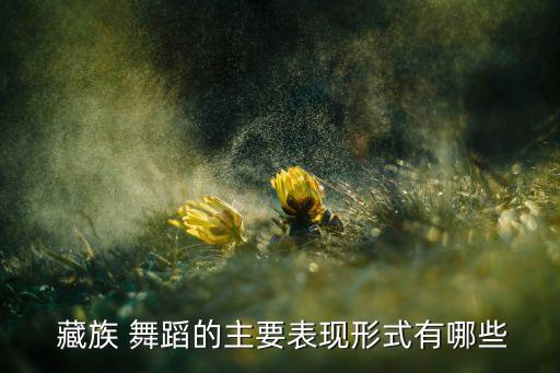藏族舞舞蹈视频四级,北京舞蹈考级四级藏族舞