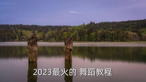 新年舞蹈大全教学视频,幼儿园中班新年舞蹈教学视频