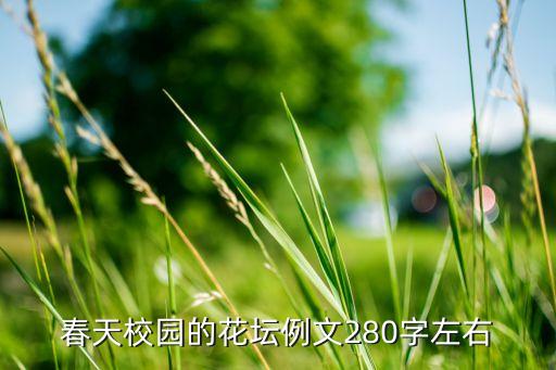 广场舞蹈护花使者