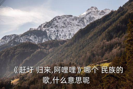 民族舞蹈赶圩归来阿lili