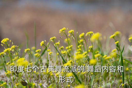 传统印度舞蹈教学视频大全,幼儿印度舞蹈教学视频大全