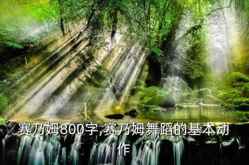舞蹈赛乃姆800字,赛乃姆舞蹈的基本动作