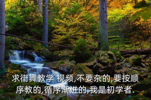 舞蹈视频大全14步,幼儿舞蹈视频大全2022