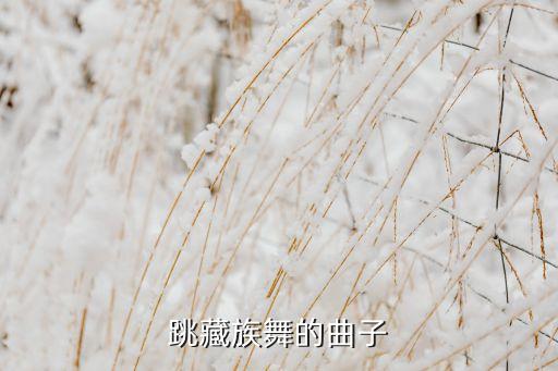 浪拉山情男子舞蹈,舞蹈浪拉山情一等奖