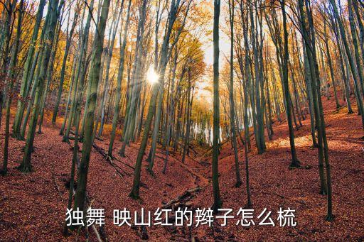 舞蹈映山红教学视频,迪迪老师舞蹈映山红附教学