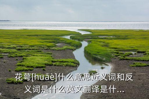 友爱一枝花舞蹈,巴拉巴拉一枝花舞蹈视频