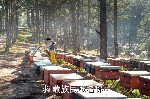 藏族舞蹈吉祥谣幼儿,幼儿藏族舞蹈视频大全群舞