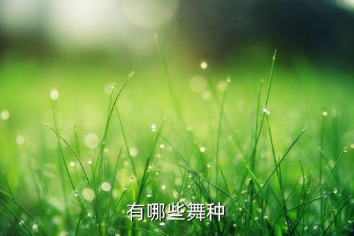 国际舞蹈中国舞蹈,关于中国舞蹈和西方舞蹈的概述