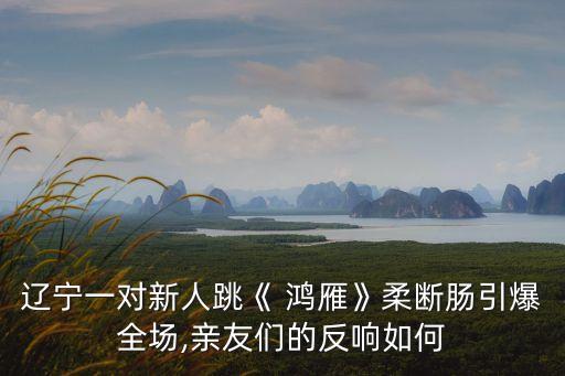 九级舞蹈藏族舞鸿雁,藏族舞鸿雁原版视频教学