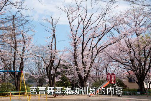 芭蕾舞蹈下腰