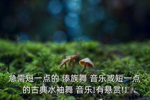 傣族舞蹈喜水音乐名称
