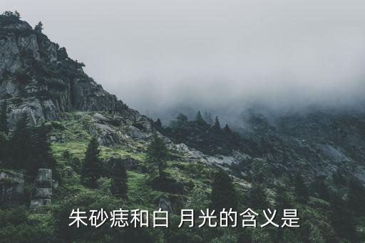 白月光与朱砂痣舞蹈部分
