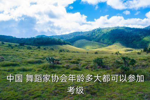8级舞蹈考级藏族,舞蹈考级藏族舞蹈视频