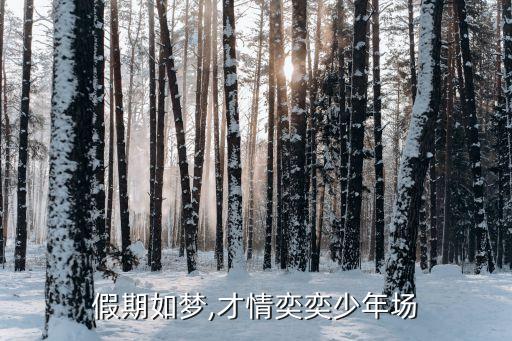 第十一届华人青少年舞蹈