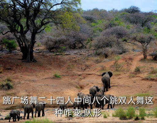 舞之梦舞蹈变队形,南京舞之梦舞蹈培训中心怎么样