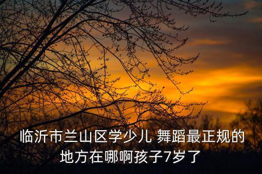 临沂 舞蹈学校 icp备,临沂舞蹈学校哪家好兰山区