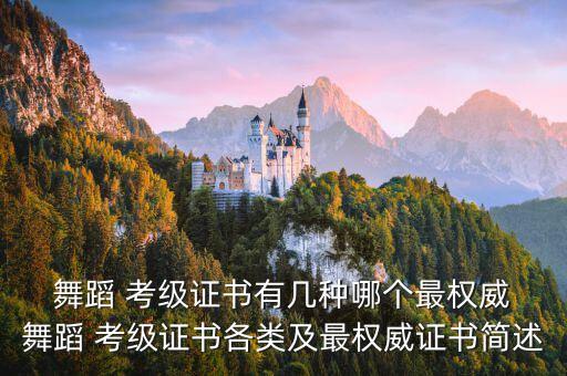 九级少儿舞蹈考级有什么,少儿舞蹈三级考级全集视频大全