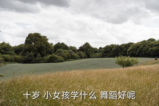 小女孩的哪个舞蹈,8岁小女孩练舞蹈哭了