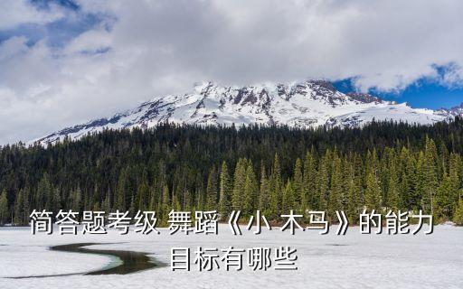 小木马舞蹈组合实训报告
