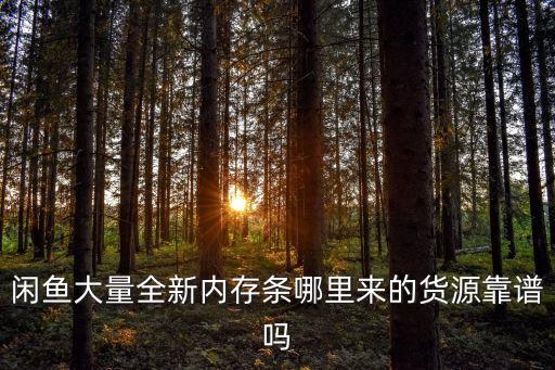 好运来舞蹈长扇舞,广场舞好运来双扇舞