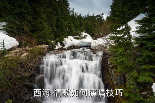 西海情歌背面舞蹈教学视频,舞蹈西海情歌背面分解动作