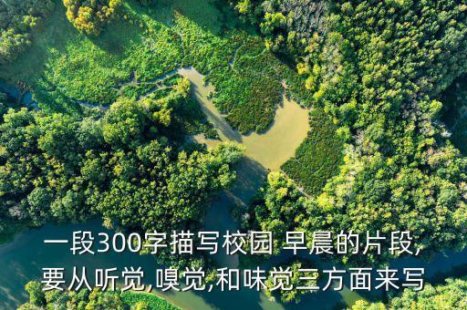 表示早晨的舞蹈,幼儿园早晨舞蹈视频
