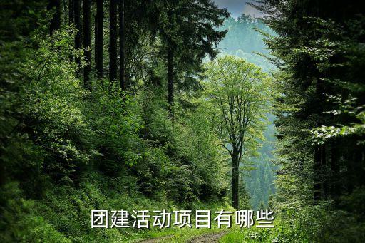 言不由衷舞蹈动作