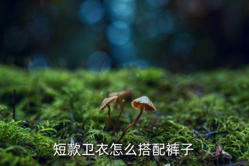喇叭裤舞蹈视频,舞蹈喇叭裤套装