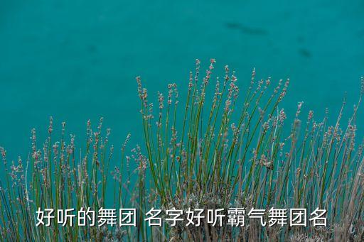 跟舞蹈有关的名字