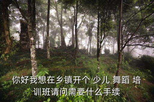 开办少儿舞蹈培训班,开办舞蹈培训班需要什么证件