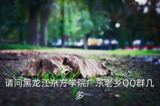 小学生舞蹈qq群,qq小学生群号