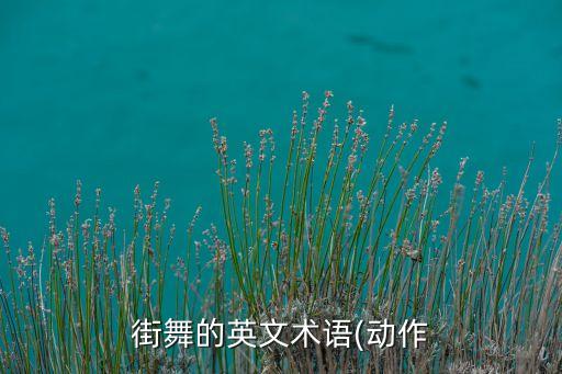 双人hiphop舞蹈开头,Hiphop舞蹈是什么