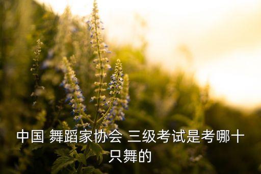 三级舞全部舞蹈视频播放,广场舞相约九八舞蹈视频播放