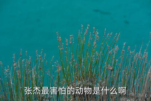 无心伤害舞蹈,对不起无心伤害的句子