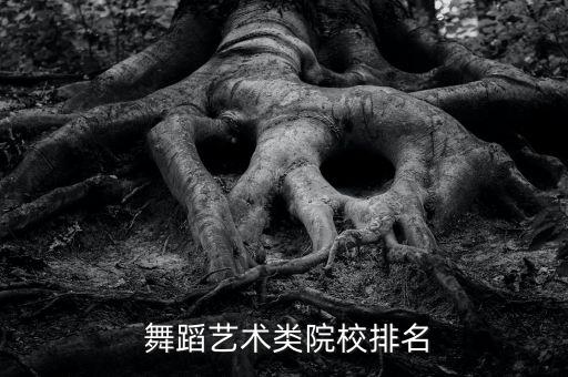舞蹈表演大学