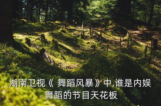 王涛舞蹈