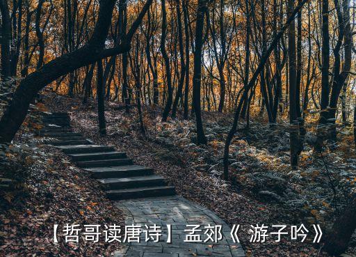 游子吟的诗歌和舞蹈,诗歌朗诵游子吟背景音乐
