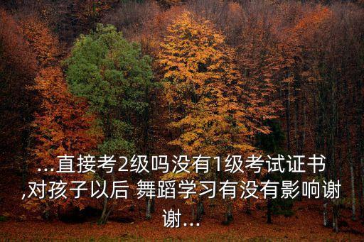 舞蹈考级可以考学么,考级舞蹈一级