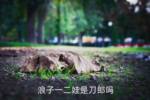 浪子的心情舞蹈,叶启田浪子的心情