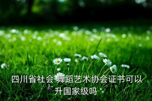 四川中国舞考级舞蹈,中国舞五级考级舞蹈全集完整版