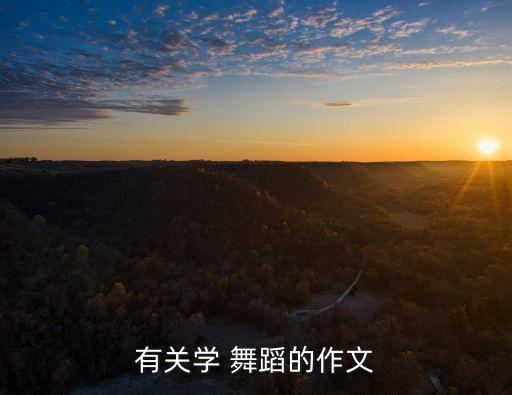 舞蹈感悟,两滴水傣族舞蹈感悟