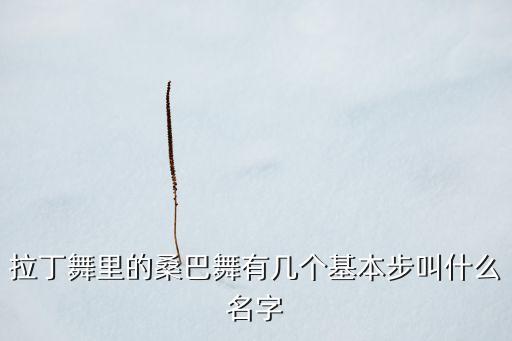 心多憔悴舞蹈慢动作分解法