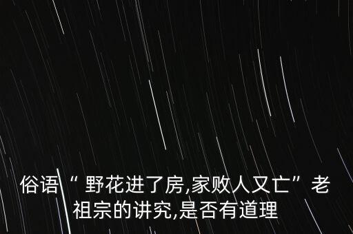 野花不要采舞蹈男
