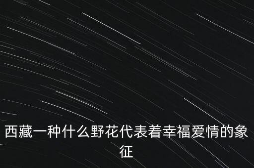 藏族群舞蹈格桑梅朵,藏族舞蹈歌曲大全100首