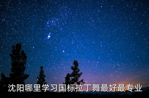 沈阳有哪些好的舞蹈培训班