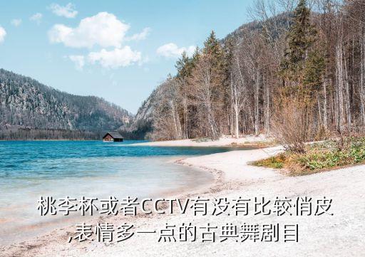 桃李杯民族舞蹈欢快,欢快的民族舞蹈一等奖