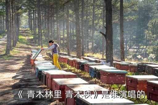 舞蹈青木央,青木央广场舞