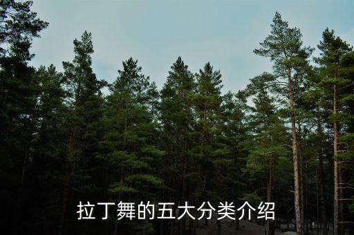 舞蹈拍子是起什么作用的
